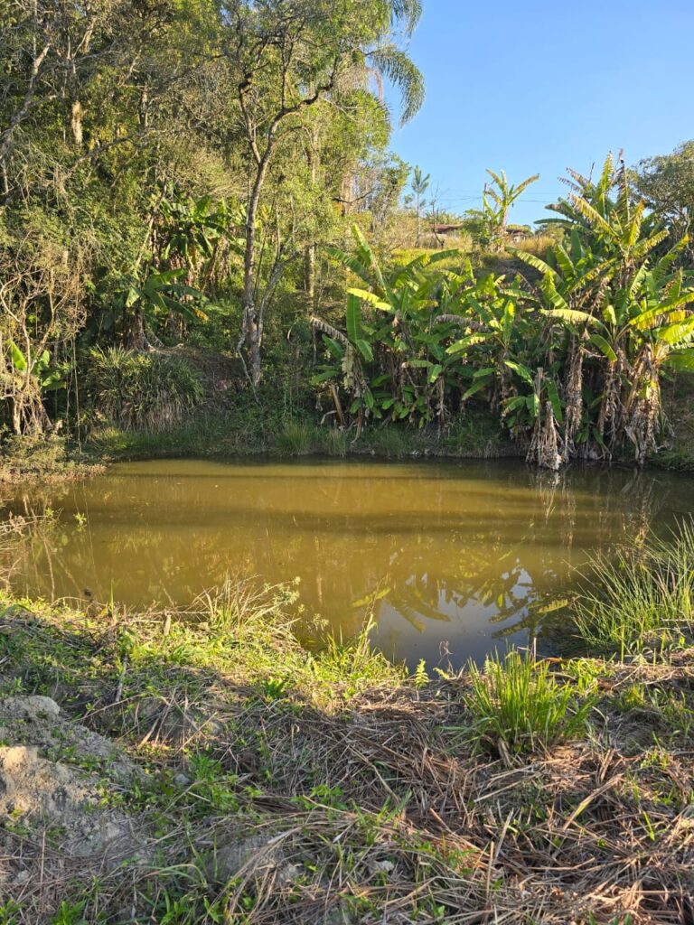 Sitio-Piracicaba-5.jpg